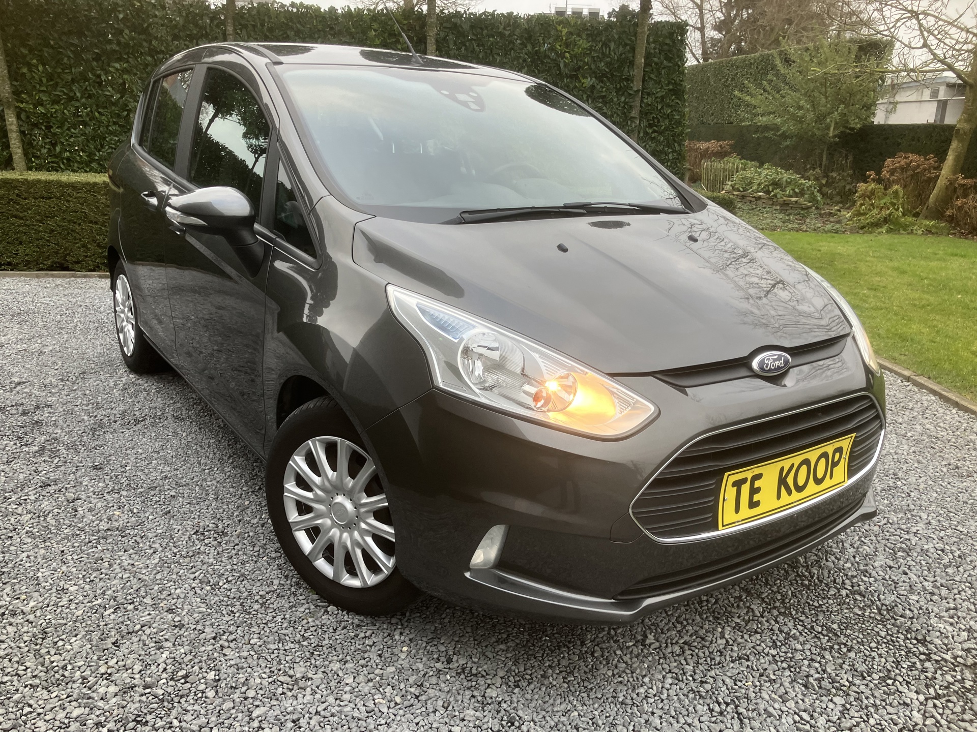 FORD_B max_5
